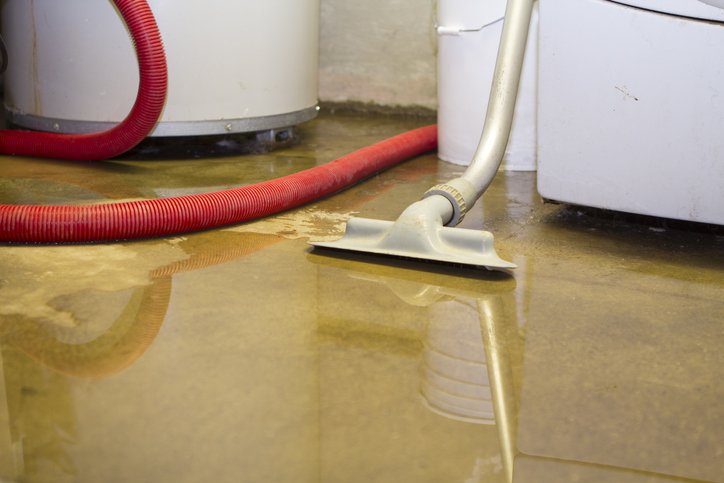 KelMarie14's tweet photo. Homeowners Ask: Should I Replace or Repair Flood-Damaged Systems? https://t.co/7OLG4Yj6aB https://t.co/mv8f7fPSPD