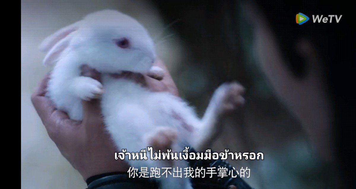 SEPaddMad's tweet photo. ไม่รอดเงื้อมมือ .. 555 https://t.co/XIUZpqUgVl