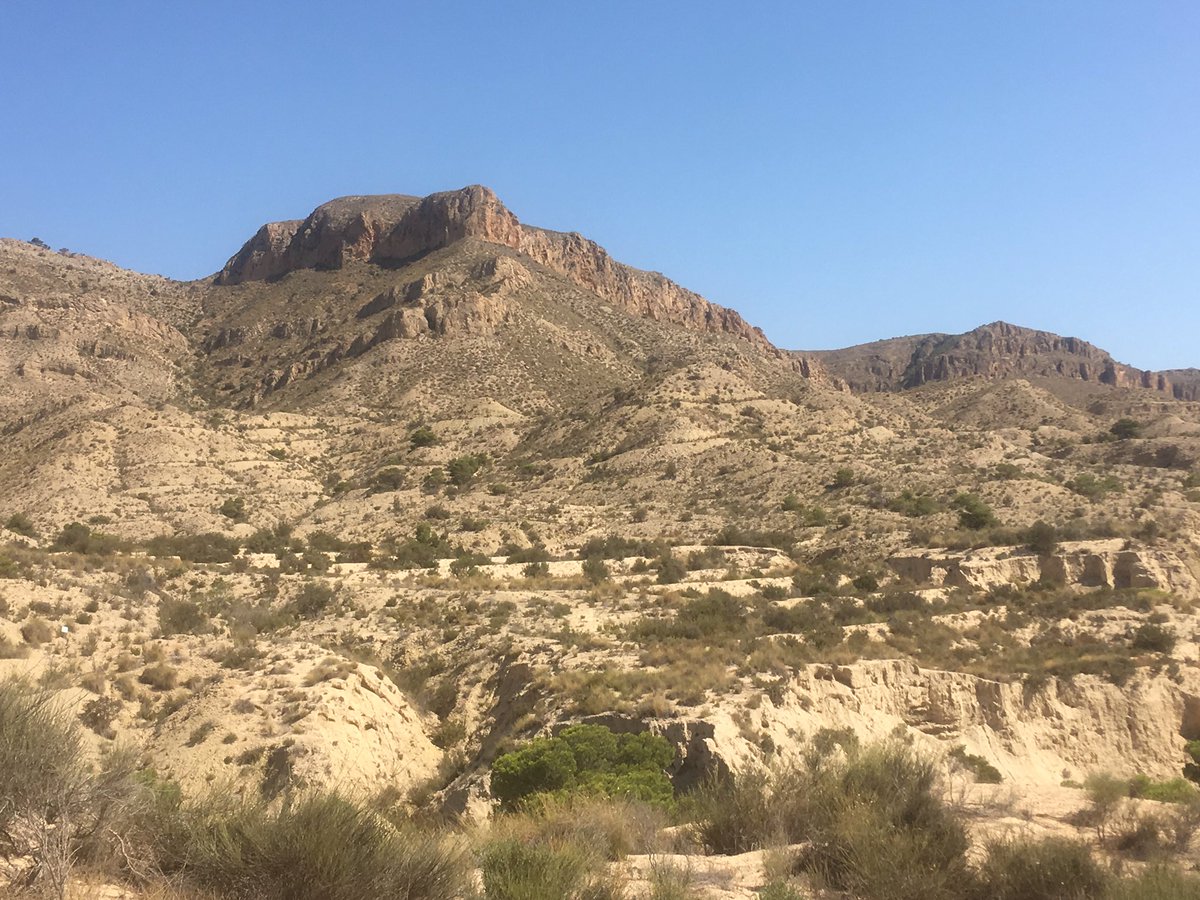 #CaminoSureste #CaminoLevante Day one of my Camino from #Alicante starting at the Basilca.I walked 30km to Monforte Del Cid with temperatures touching 40c.Very few photo opportunity because of the featureless terrain.🌻