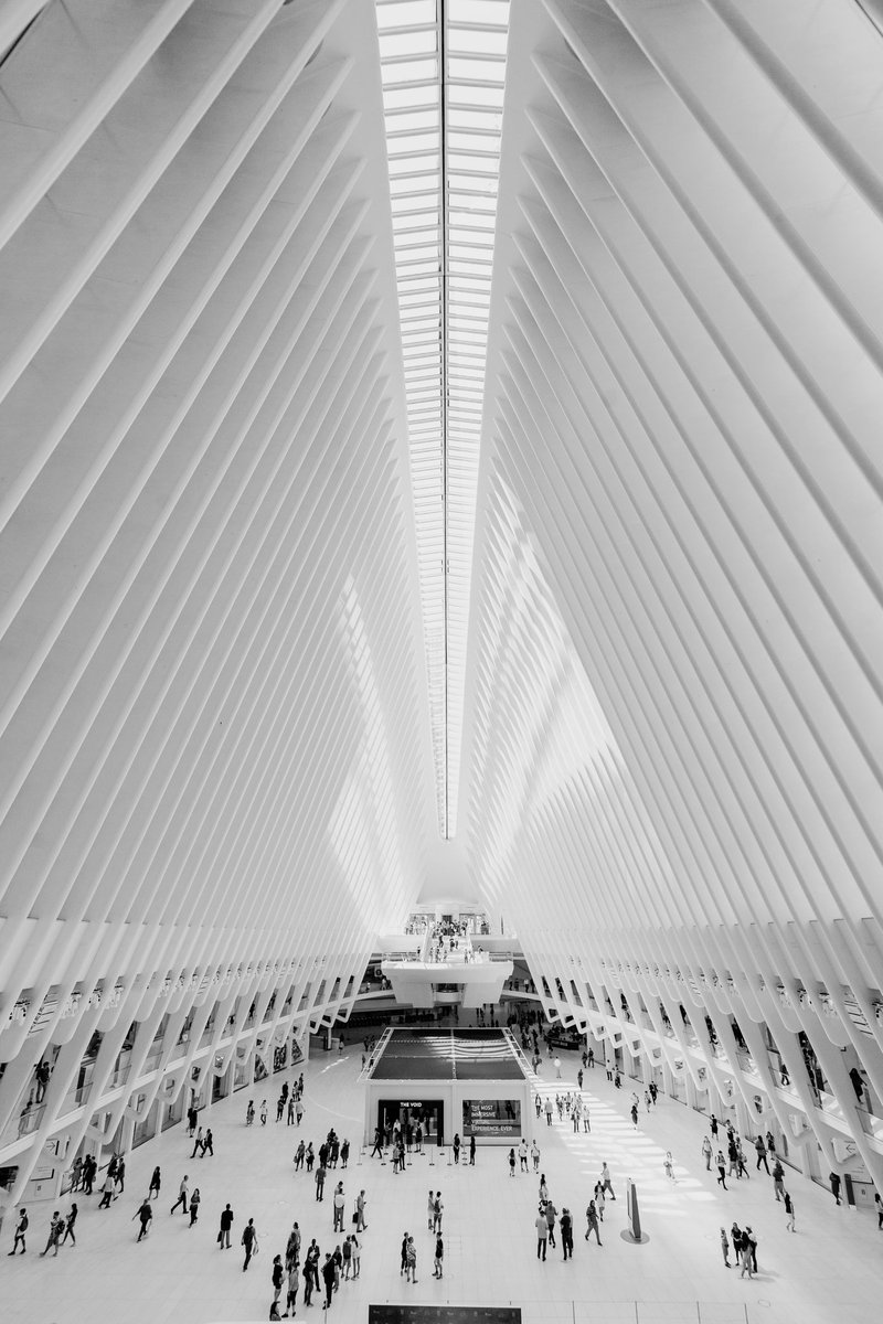 jorge_sva's tweet photo. NY
Fourth day https://t.co/vFkX7qt0aE