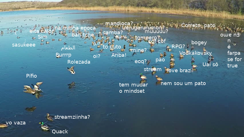 PatoPacificos's tweet photo. Chamo esta de Revoada do Patopaverso. 

Coloquei todos os que sigo, mas se faltou vc ainda tem espaço!
#patopaverso https://t.co/wAwKZWQUeW