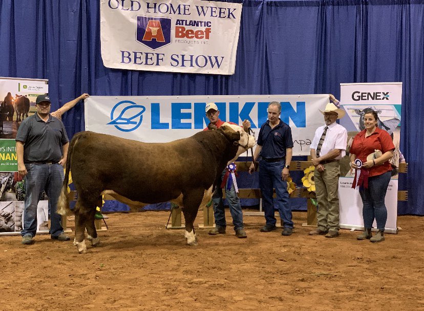 Supreme Champion Male - Old Mill Fagan 2F. Sired by About Time. OHW Charlottetown, PEI.