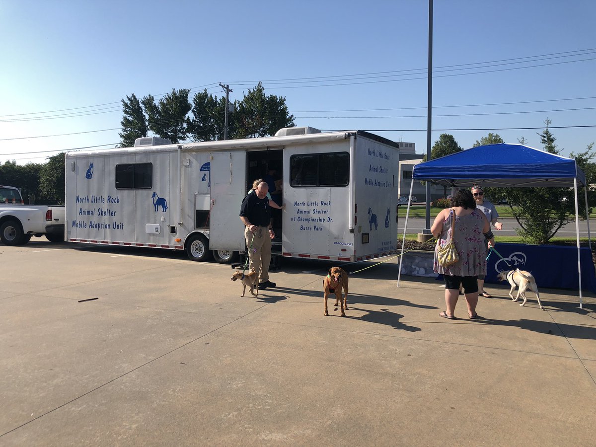 North Little Rock Animal Shelter PetsWall