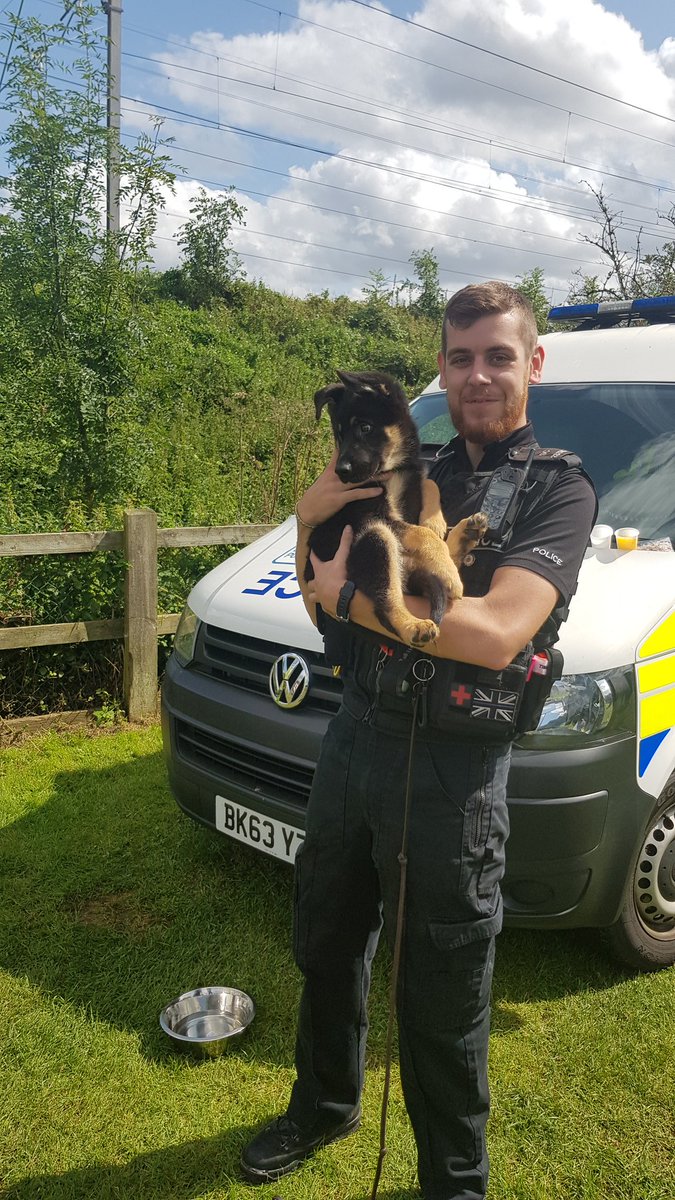 Xray-Sierra Two Zero (former) tweet media