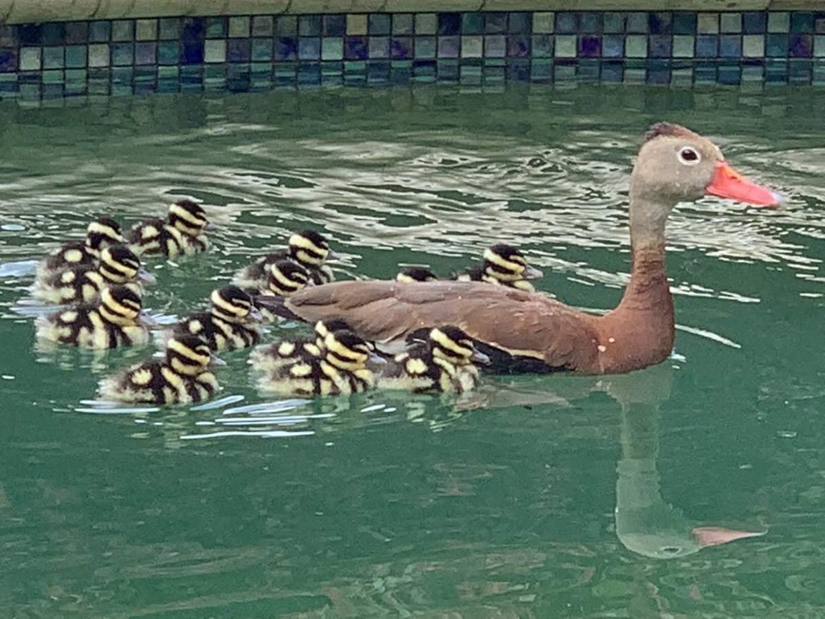 Mike Flaskey tweet media