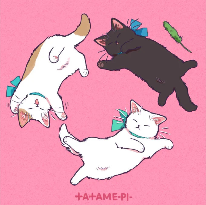 夏の猫のねぞう ? 