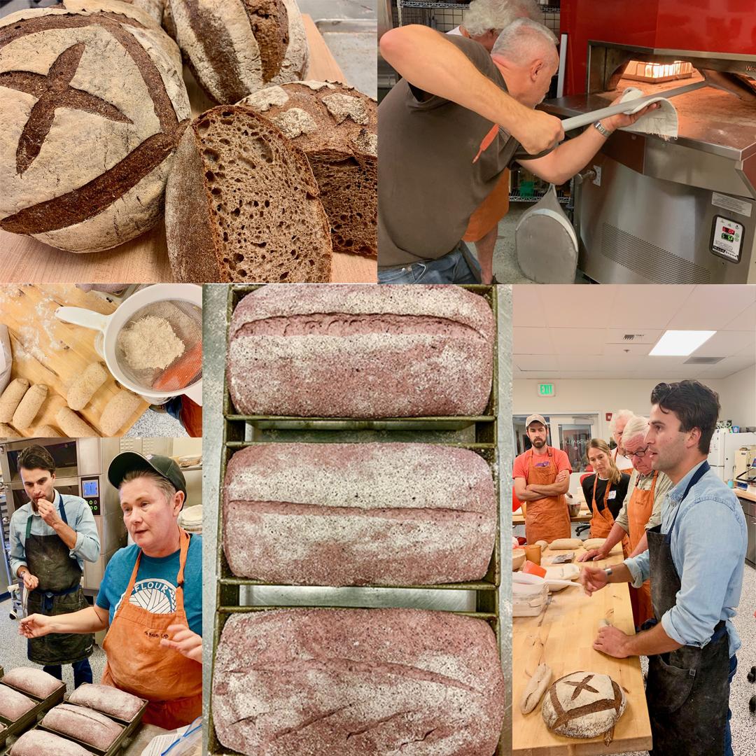 BrownBearBaking's tweet photo. It was a busy week of fresh wheat harvest, baking with whole grains. David and Lee spent several days @wsu_bread_lab with Mel Darbyshire - Head baker of @grandcentralbakery, and Graison Gill & Morgan Angelle of @bellegardebakery New Orleans. #freshflour #grainrevolution https://t.co/B8MwHy6IyR