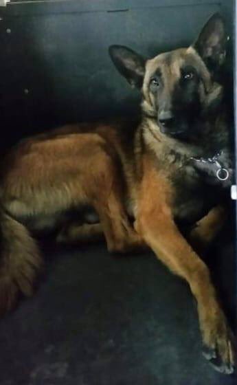 GSO_Police tweet picture