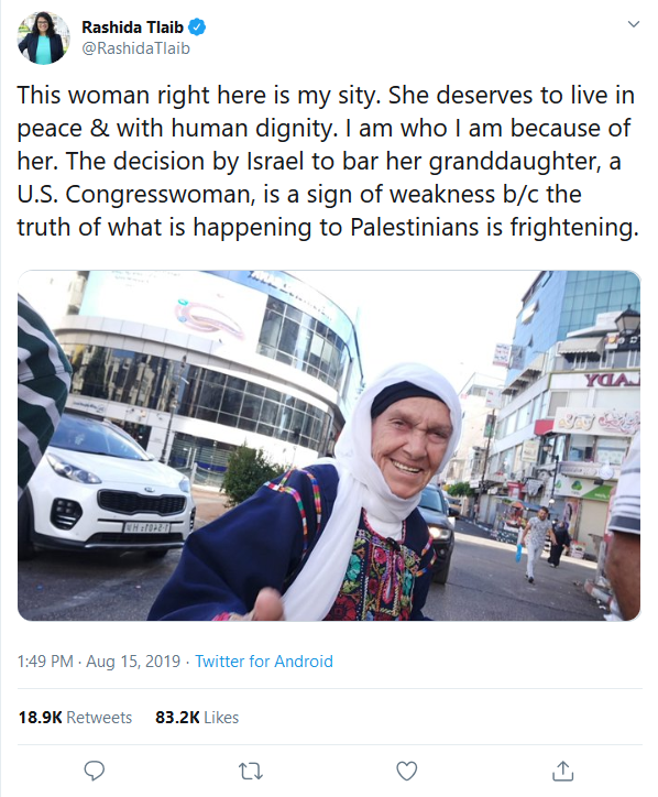 stillokie's tweet photo. YOU'RE pushing a global boycott of Israel. You do not represent U.S. citizens nor Congress with your campaign of hate. You only desire to hinder & harass the ONLY Jewish state. Much like you do here to Americans as #DemRageOn for #demPathToPower. https://t.co/VRMX9BI9l5
