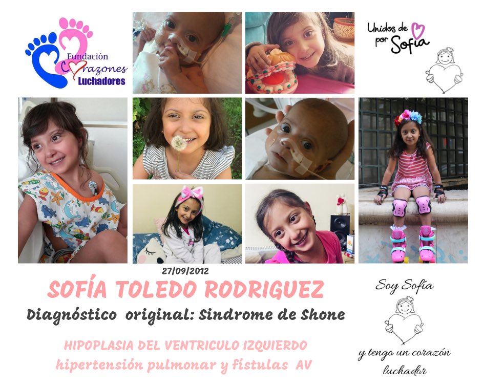 DALEVIDAASOFIA's tweet photo. “Se puede nacer y vivir con un corazón diferente”

Sofía a sus 6 años posee 2 cirugías a 💜 abierto, 12 cateterismos, 4 eritroféresis y otras 2 cirugías.

Frente a todo pronóstico, Sofía se aferra al amor y a la vida. 
@CorazonLuchado2 
#unidosdecorazonporsofia #170millones https://t.co/PBmVtDiffc