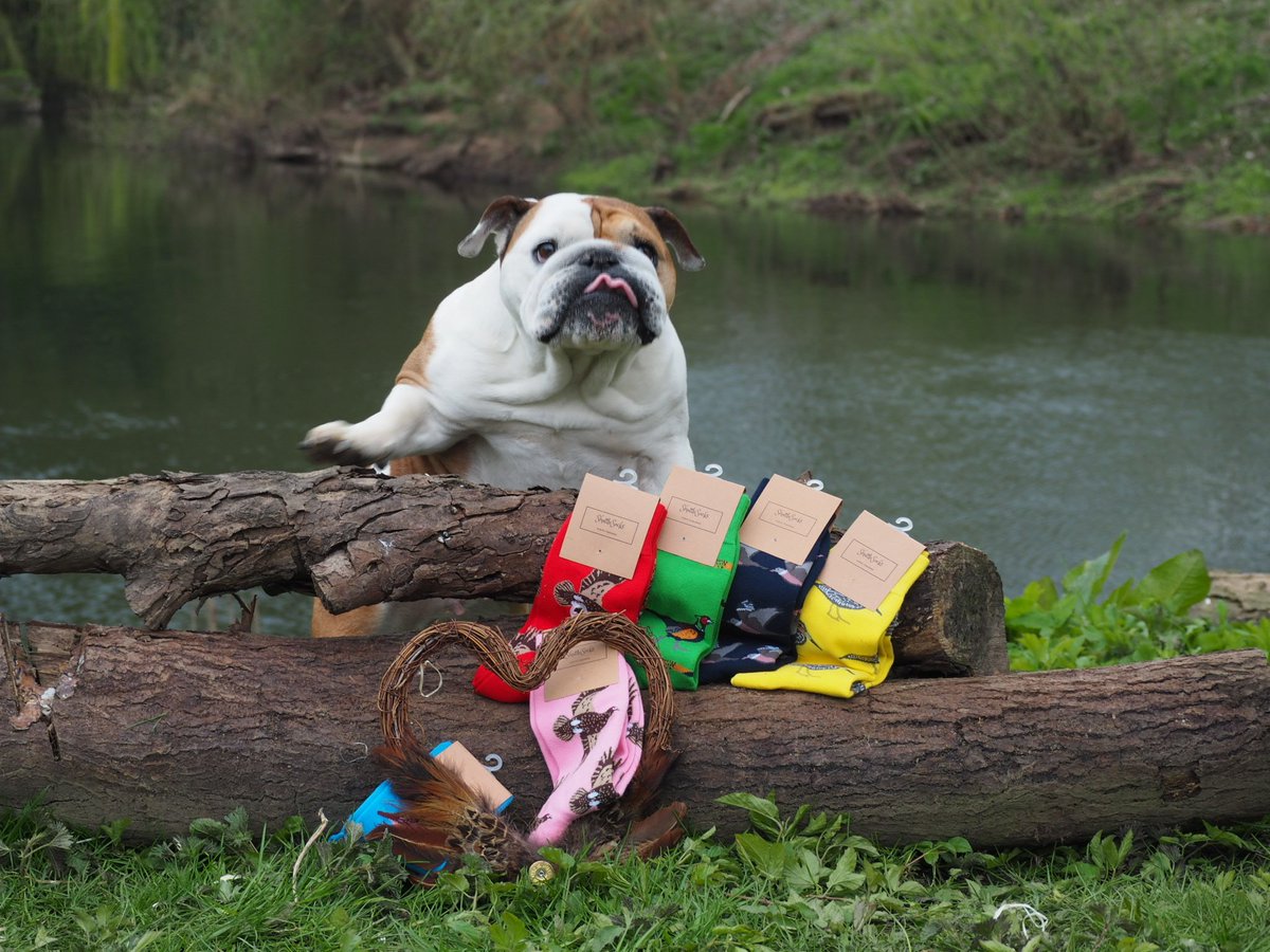 Photo bombed on our recent product shoot by our Hamper mascot, Bertha!