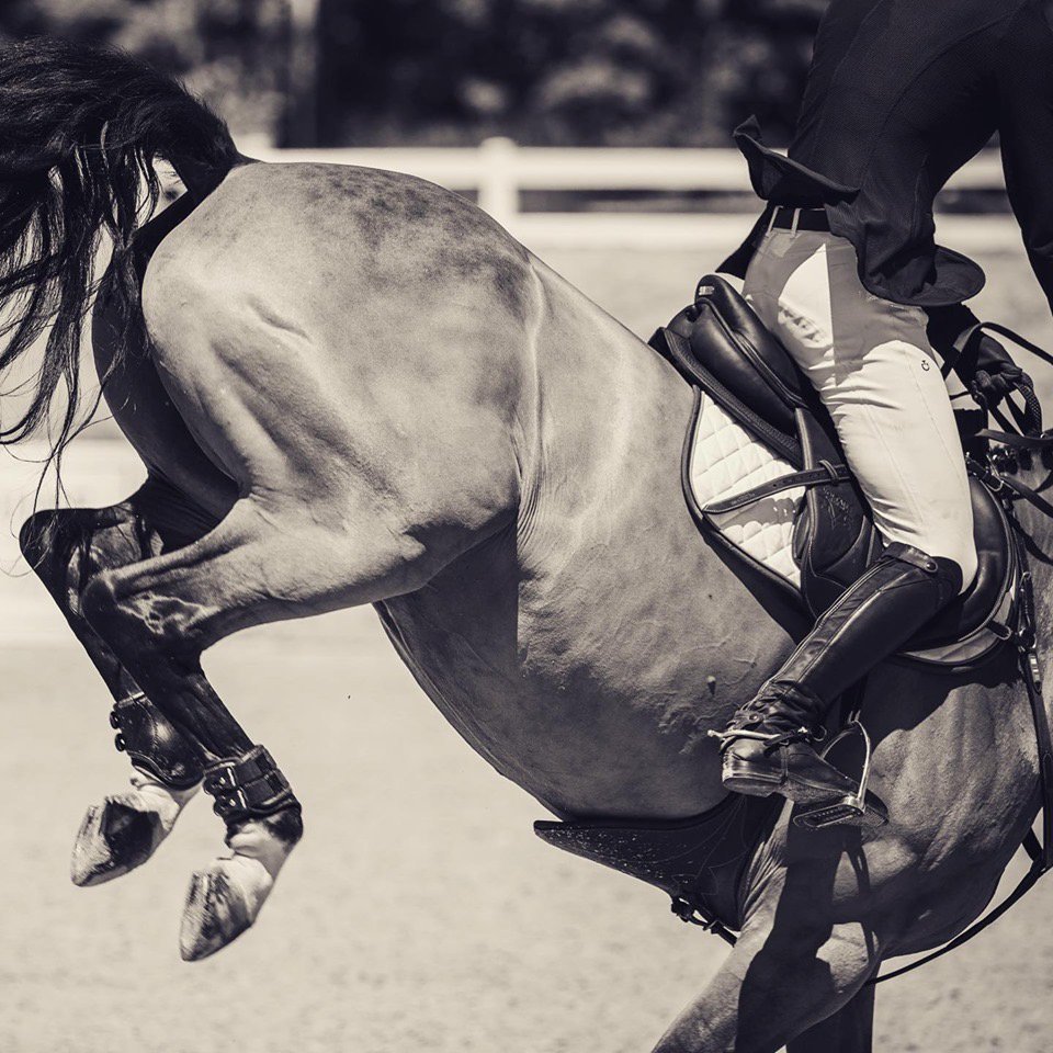 Impact absorption without all the bulk. #ImpacTeqHalfPad #EquiFit
PC: Collin Pierson