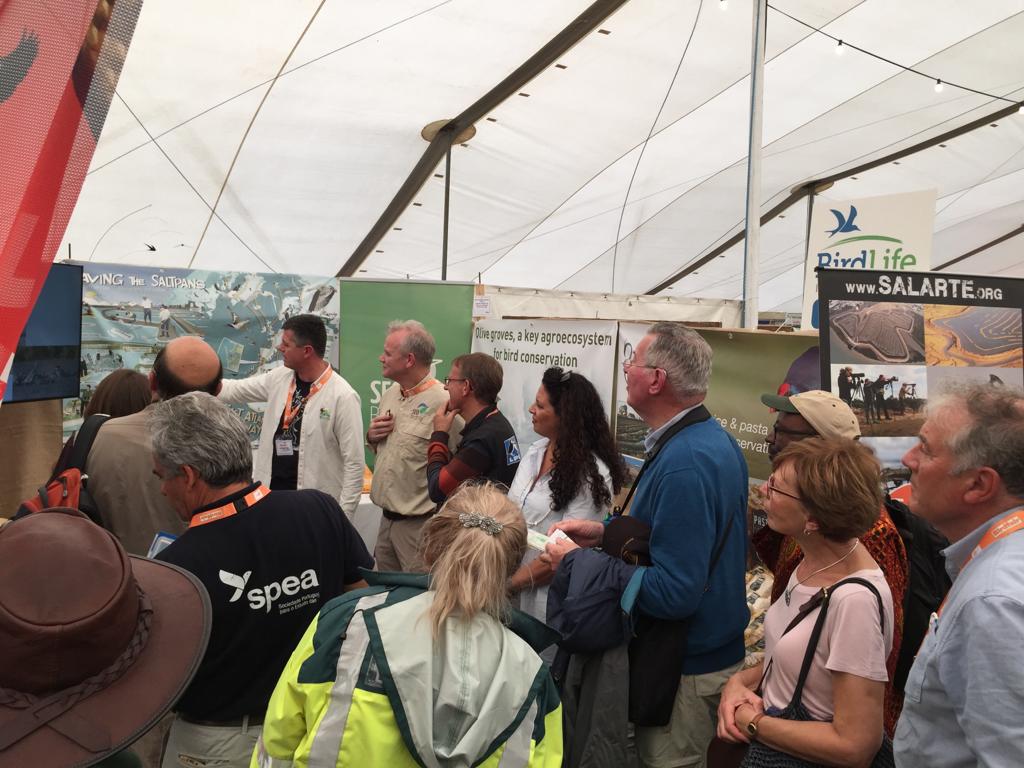 salarte_org's tweet photo. Ni en sueños nos imaginábamos estar tan bien acompañados en un proyecto tan ilusionante🙌 ¡GRACIAS! por hacer posible #savingthesaltpan 🙏 @BirdLife_CEO @BirdLife_News @LPOFrance @vogelnieuws @SEO_BirdLife @spea_birdlife @Rutlandbirds @MavaFdn ¡Seguimos!💪 https://t.co/Lw74x8t3i8