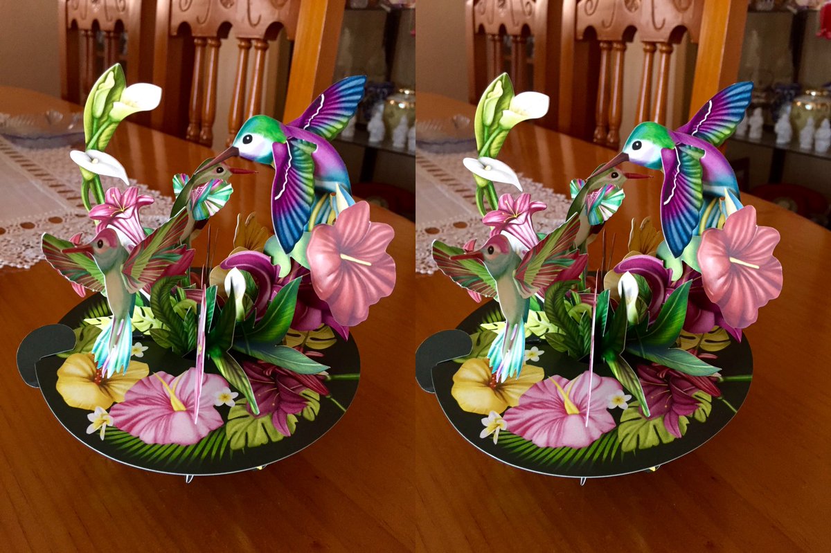 TriniQueenie's tweet photo. I love this beautiful gift, be ready, guess I'll be sharing some nice colours these days now and then. Nice weekend you all 🐦 🌺 #teamstereoscopy #stereo #Stereophoto #3D #3Dphoto #i3DSteroid #inspiredbydrbrianmay #londonstereoscopiccompany #londonstereo #liteowl #owl 🦉 https://t.co/yvIxjadPEy