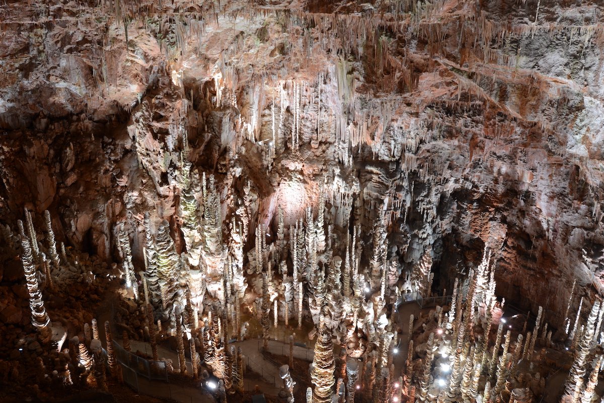 Frédérick Gersal était l'invité du Soir 3. Il publie une nouvelle édition du livre "Les 1 000 lieux qu'il faut avoir vus en France". Devinez qui fait partie des trois lieux préférés du journaliste ? Et oui !! C'est bien l'Aven Armand.
bit.do/e4KdB