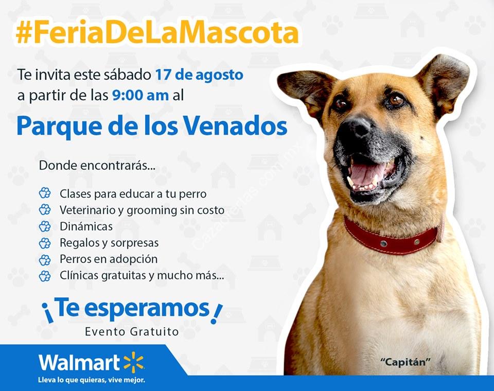 Twitter 上的 Cazaofertas："Promoción Walmart Feria la Mascota 2019: entrenamiento, veterinario grooming Gratis para https://t.co/VC0FD4wjT1 #Oferta #promocion #México #ofertas #promociones #Cazaofertas https://t.co/vVCluW1MNe ...