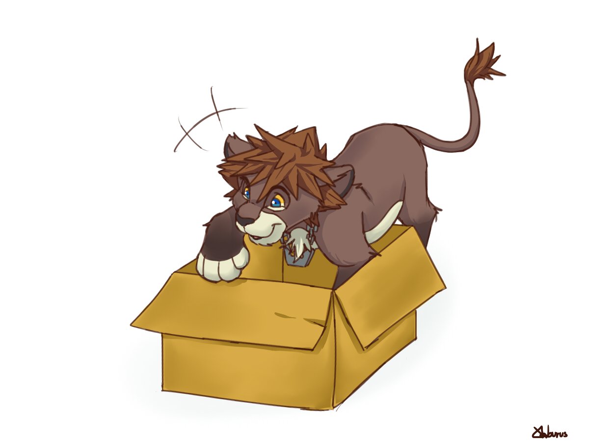 Xaburus A Cat A Box Kingdomhearts Sora Riku Kairi Roxas Ventus Lion キングダムハーツ ソラ 空 リク 陸 カイリ ロクサス ヴェントゥス T Co 4u1ueza0j6