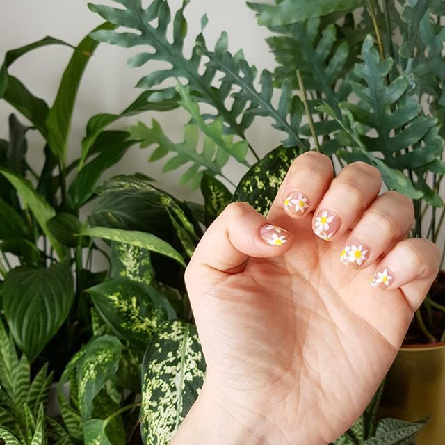 JennyBrownlees's tweet image. 🌼🌼🌼 .
.
.
.
.
.
.
.
#daisies #daisynails #floralnails #nailart #nailsdid #nailsofinstagram #weekendnails ift.tt/31MIDa2