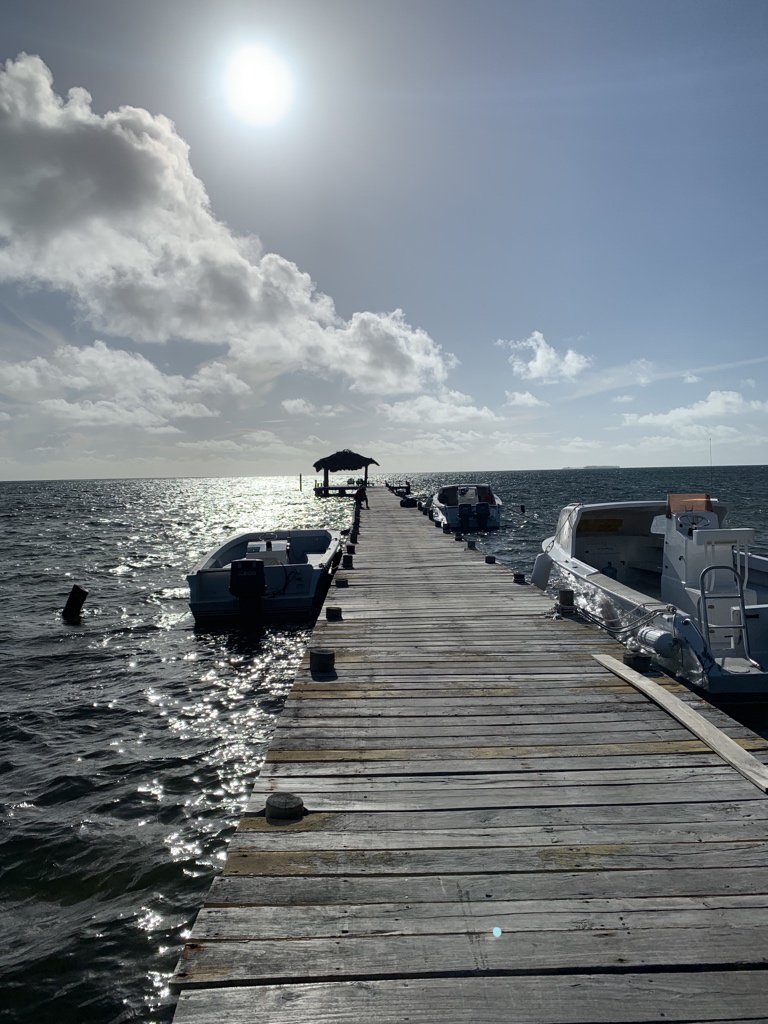 sloewe_72's tweet photo. I cannot belize it. i have to leave this beautiful island….
#belizeitornot #iwork4dell #backtocivilization https://t.co/T3lJrxtfwo