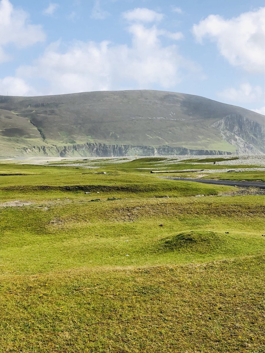 The Farmstore @ Achill Lamb tweet media