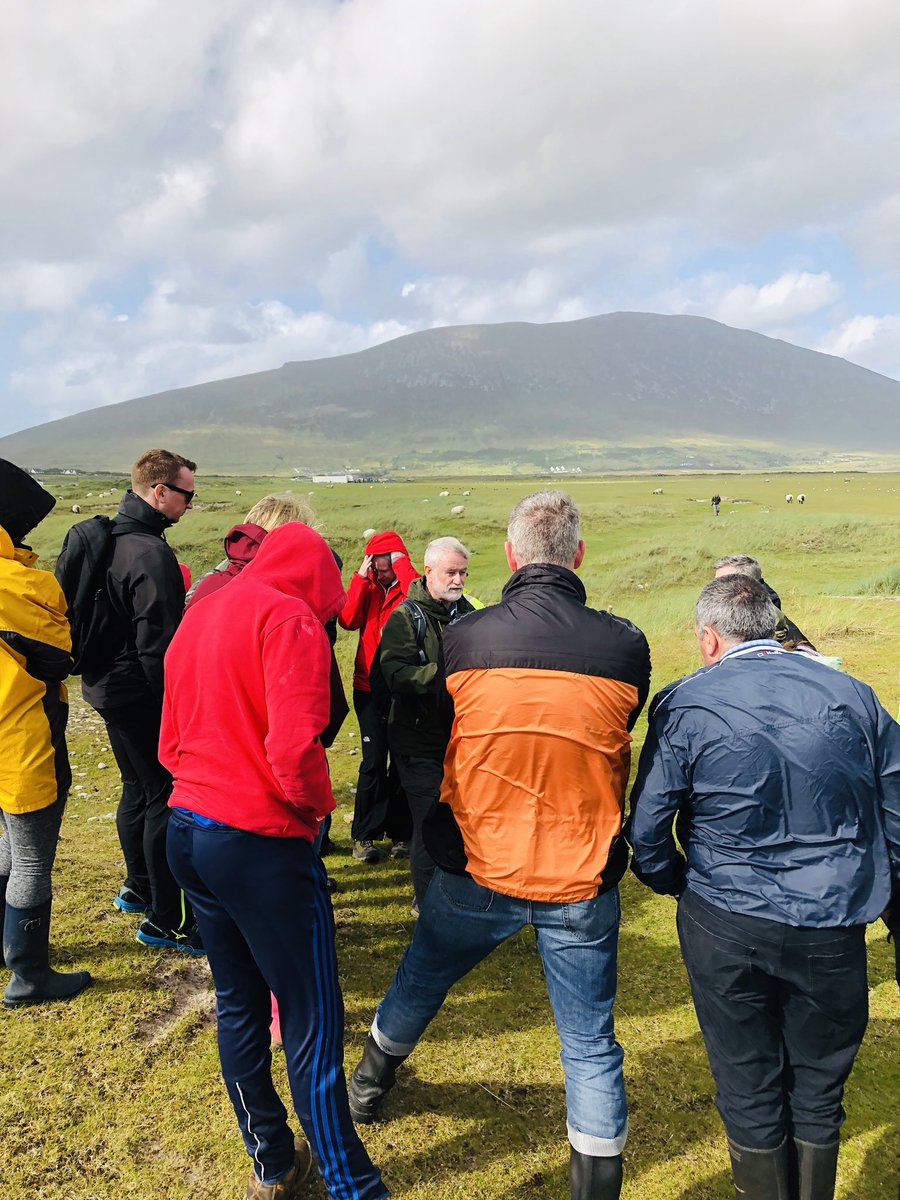 The Farmstore @ Achill Lamb tweet media