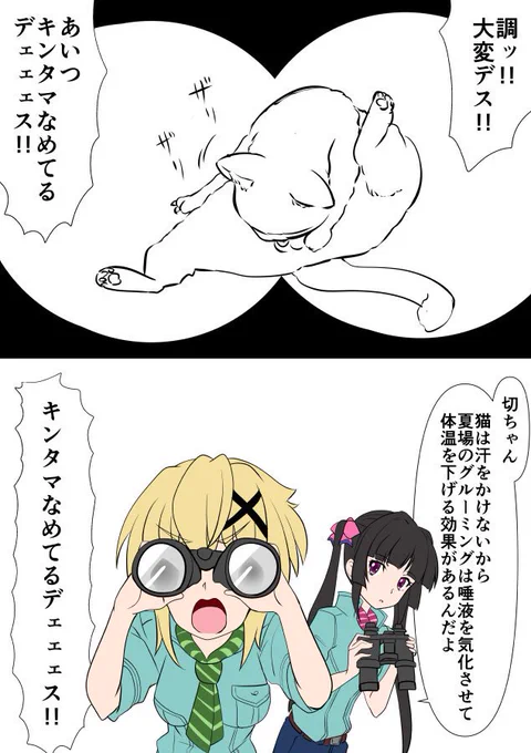 きんたま舐めてる猫を発見した切ちゃんと物知りな調ちゃん 