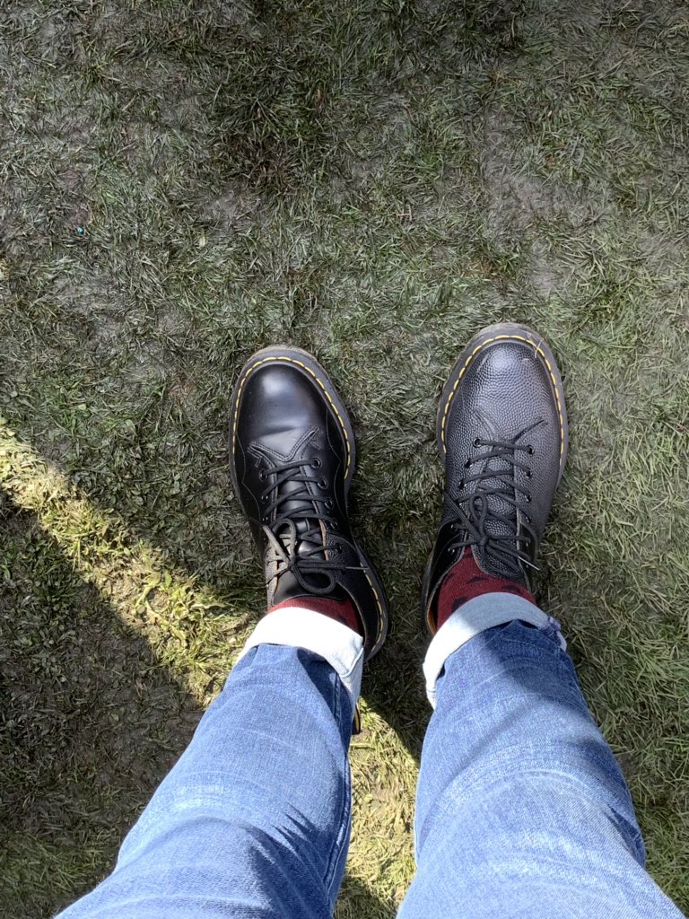 Studio OL3 tweet media