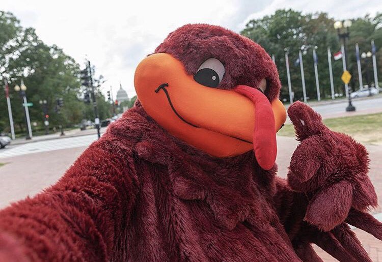 TheHokieBird's tweet photo. I can’t believe I missed the #vtfollowtrain last night! But hi! I am the HokieBird! I am the face of Hokie Nation and I am majoring in Aviation! I love hanging with my fellow Hokies and jumping to Enter Sandman! https://t.co/7Ip7FQIpke