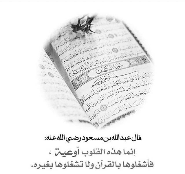 Janan__10's tweet photo. #القران_الكريم🌸🍃 https://t.co/eOH4vcBQ8l