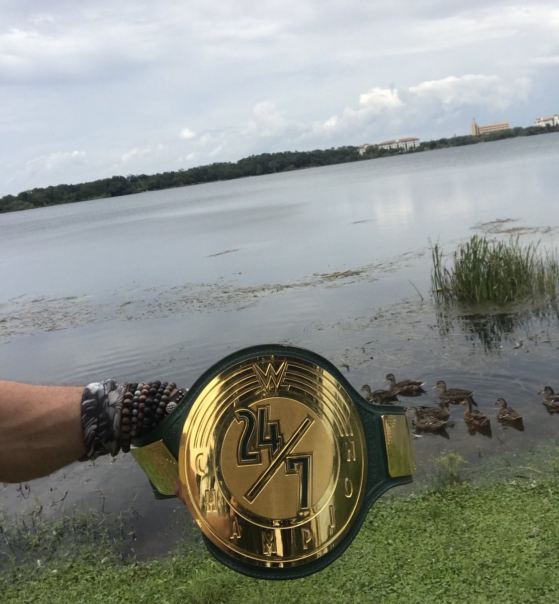 _Iam_Elijah_'s tweet image. Since I'm champion 24/7 anyways, I might just give this belt to one of these ducks.