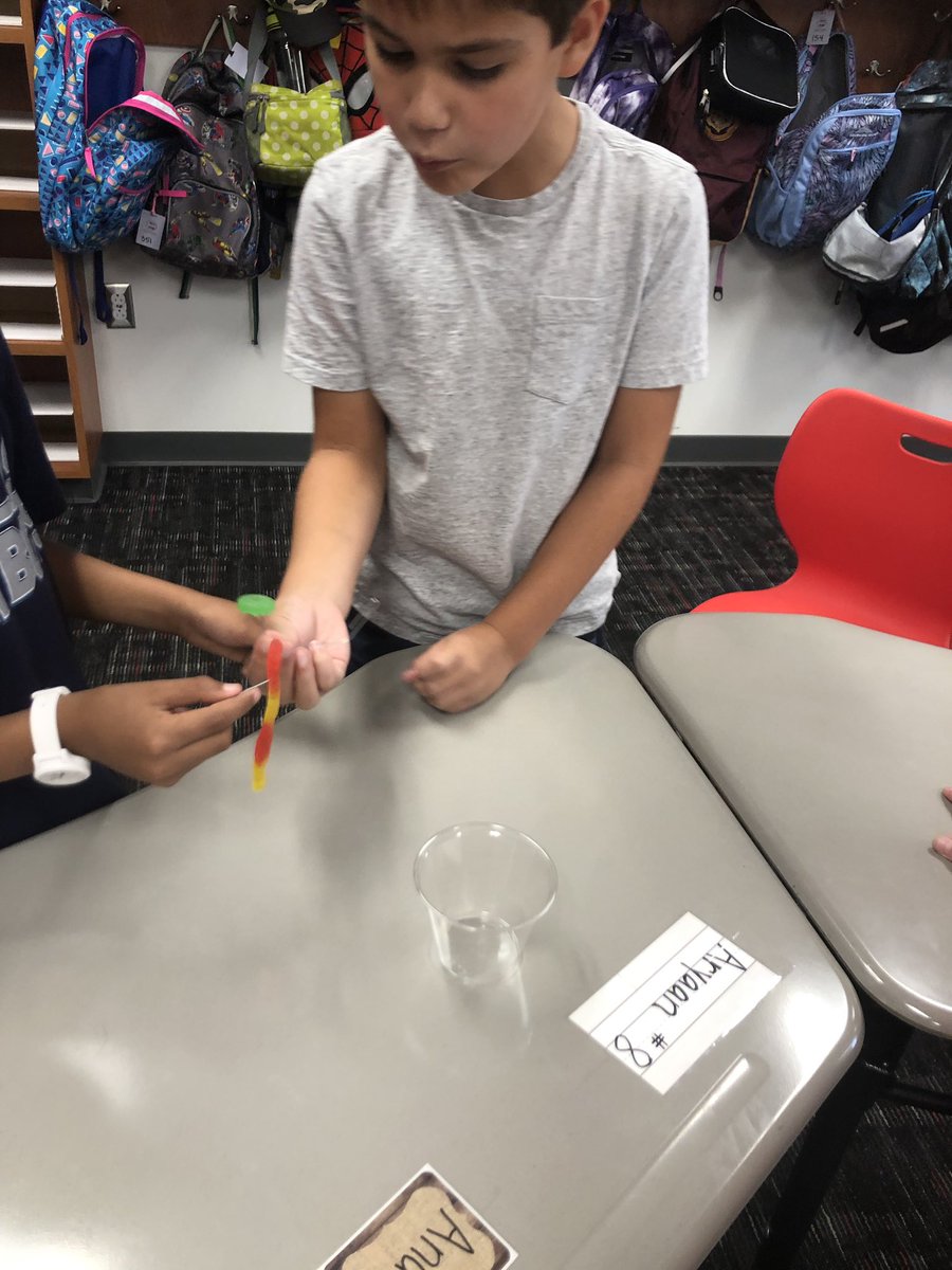 LJonesPreston3's tweet photo. It was a great first week in third grade! We worked in teams to save Fred! Talk about #teamwork!! #theprestonpride https://t.co/bpFbglbpnw