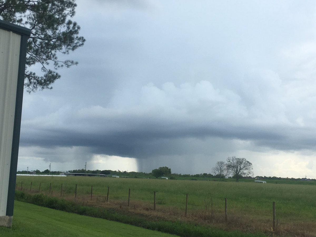 niknic40's tweet photo. @MargaretOrr My son Mason took this one in Larose.  Wanted me to send it to you. https://t.co/ifTW2iXLsn