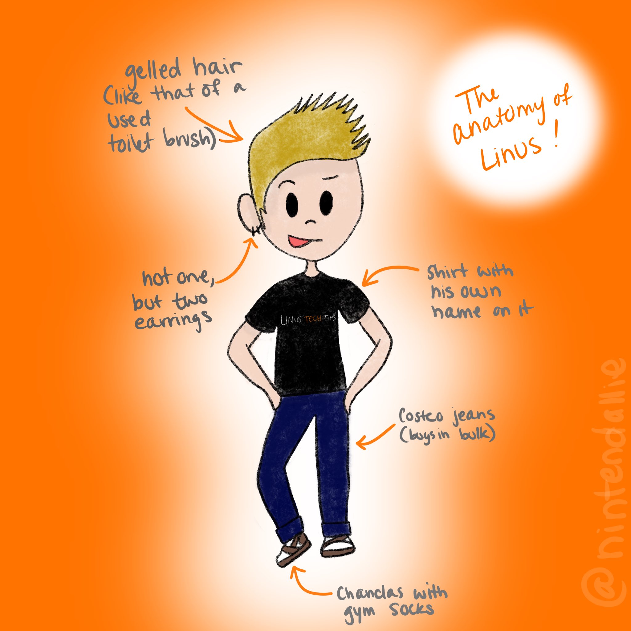 Nintendo Allie On Twitter I Drew The Anatomy Of Linustech