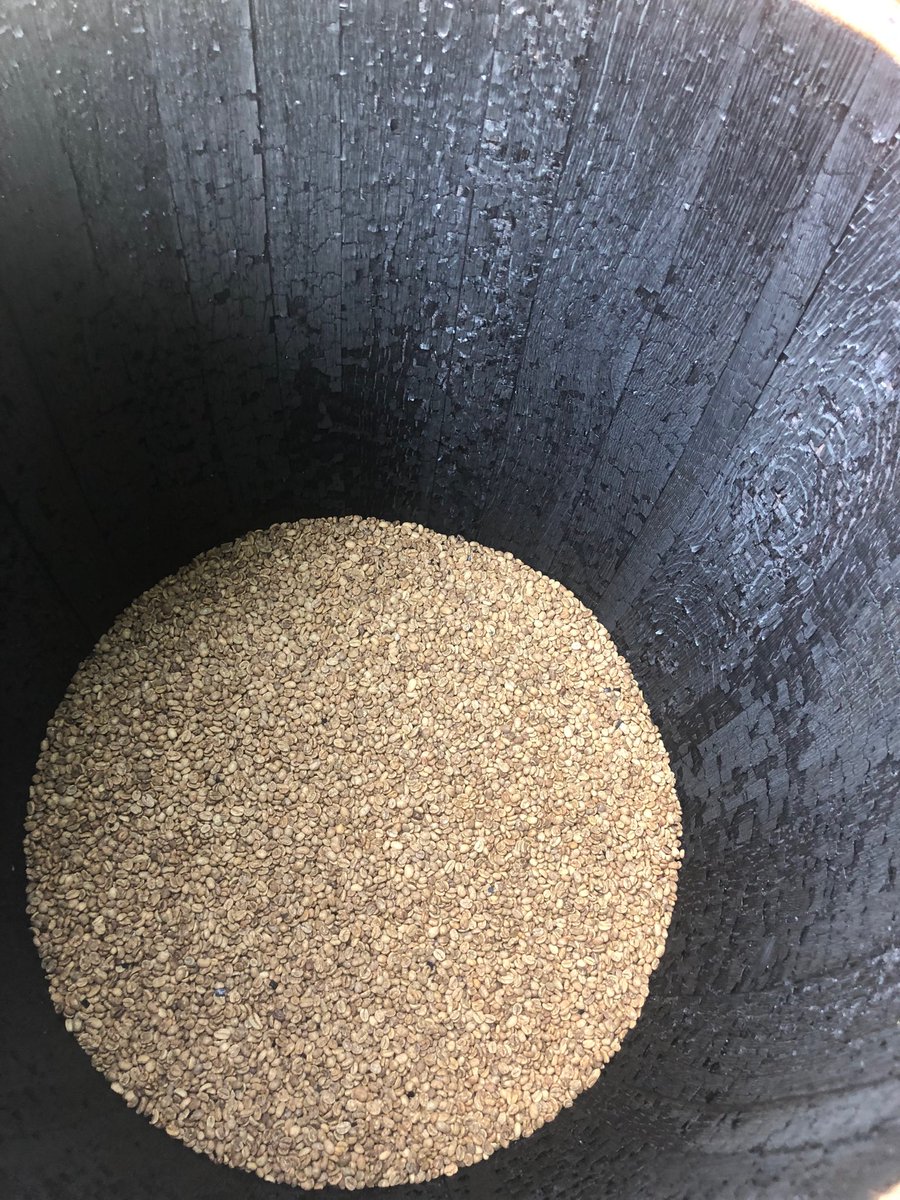 cupheagcoffee's tweet photo. Good night #AgedSumatra, rest easy in your #BourbonBarrel . We will see you in 2 weeks for #roasting. #coffee, #coffeeholic , #coffeelover , #coffeeslave , #coffeeshop, #coffeeaddict https://t.co/u9WEmcM8me