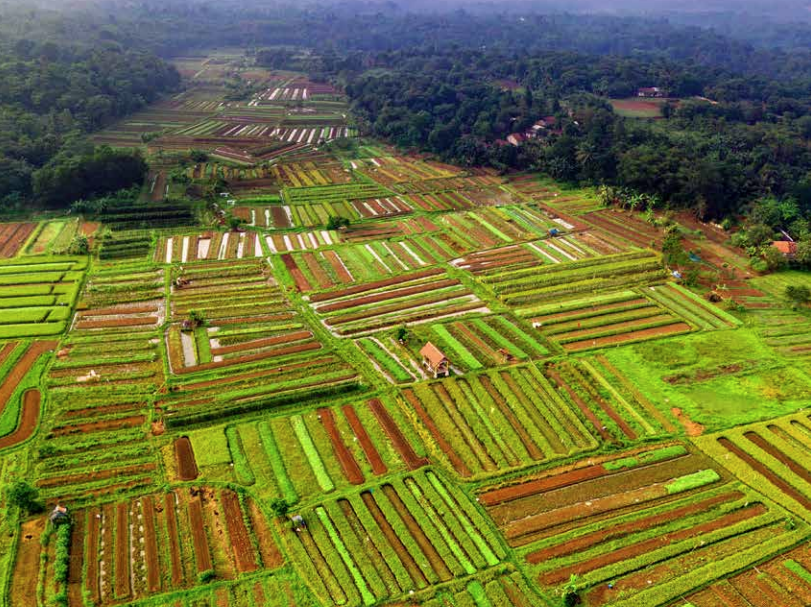 UN Development tweet media