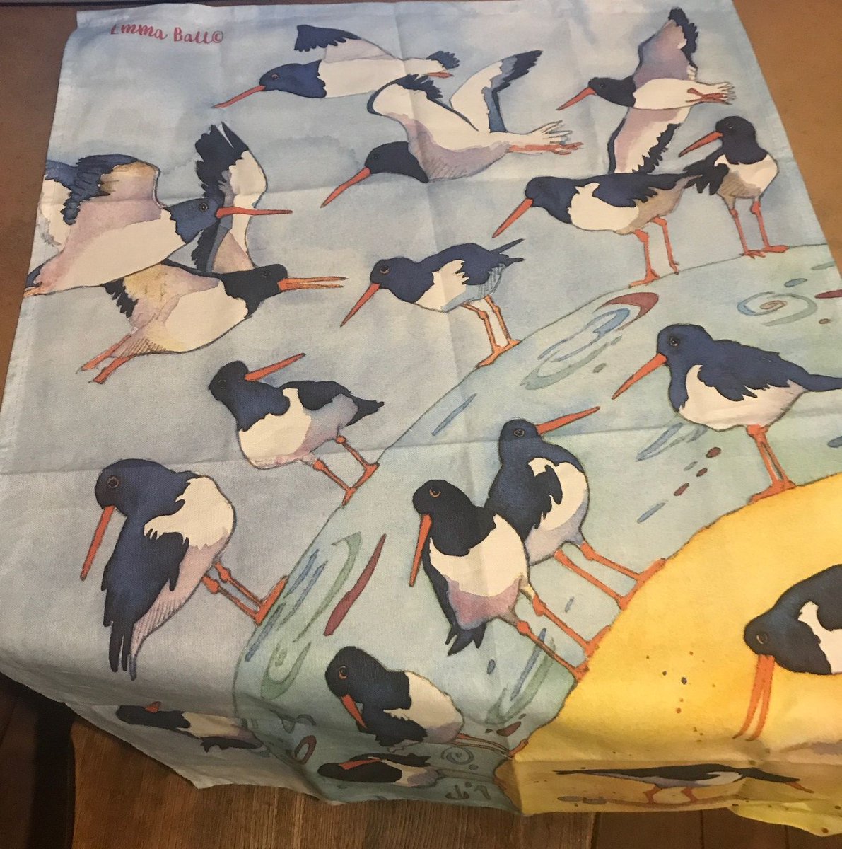 multesimus's tweet photo. Als dank voor het verzorgen van de vogels van de buren kreeg ik deze. #TeamCor (of Corrie). Getekend voor het leven geloof ik @merchandise @EllenNGNG https://t.co/9aId1TN1Cq