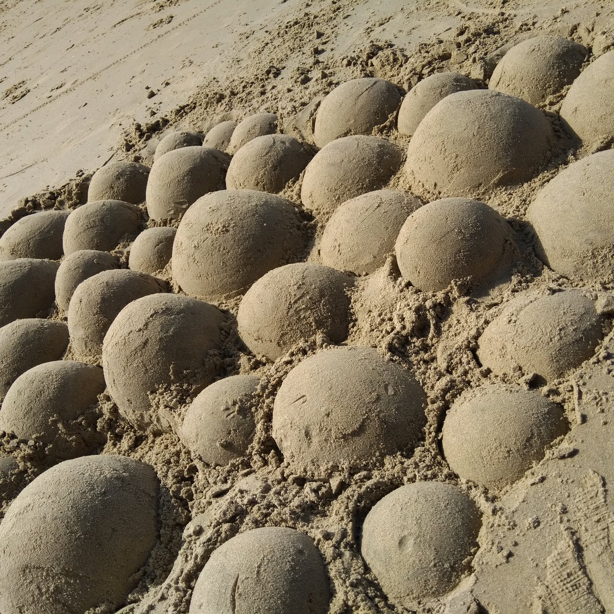 _lollipoppets's tweet photo. Great afternoon sand sculpting....thanks for all your lovely comments. We'll be at Trearddur Bay #RNLI Open Day tomorrow &amp; will have the sculpting tools available to purchase if you fancy having a go yourself. #Anglesey #loveanglesey #beachlife #sandytoes #saltykisses #sculpture https://t.co/DrlHvUWQVd