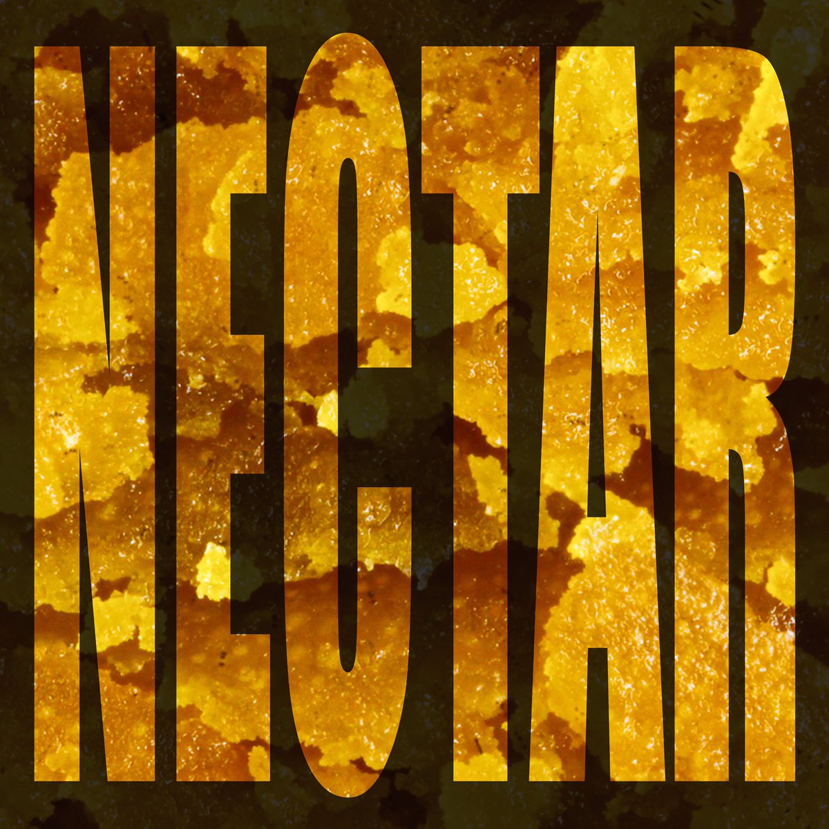 Portland Shines Concert Series tweet media