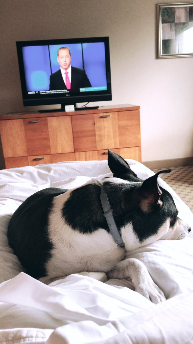 RACH_ontheradio's tweet photo. Started day βπΌ of the #TourDePhilly by cuddling with my pup, continental breakfast & #poolside at the @DoubleTreeVF β time to make the next trip tho to find all the fun things to do around our city! β‘οΈπ#hiltonsofphilly #makeitmontco https://t.co/fj1EbmR5RO