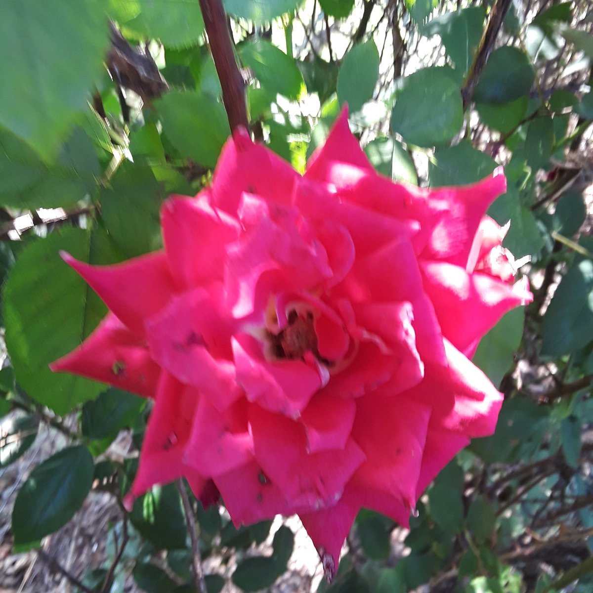 Jackie lee benge (@jackiebenge2) on Twitter photo 