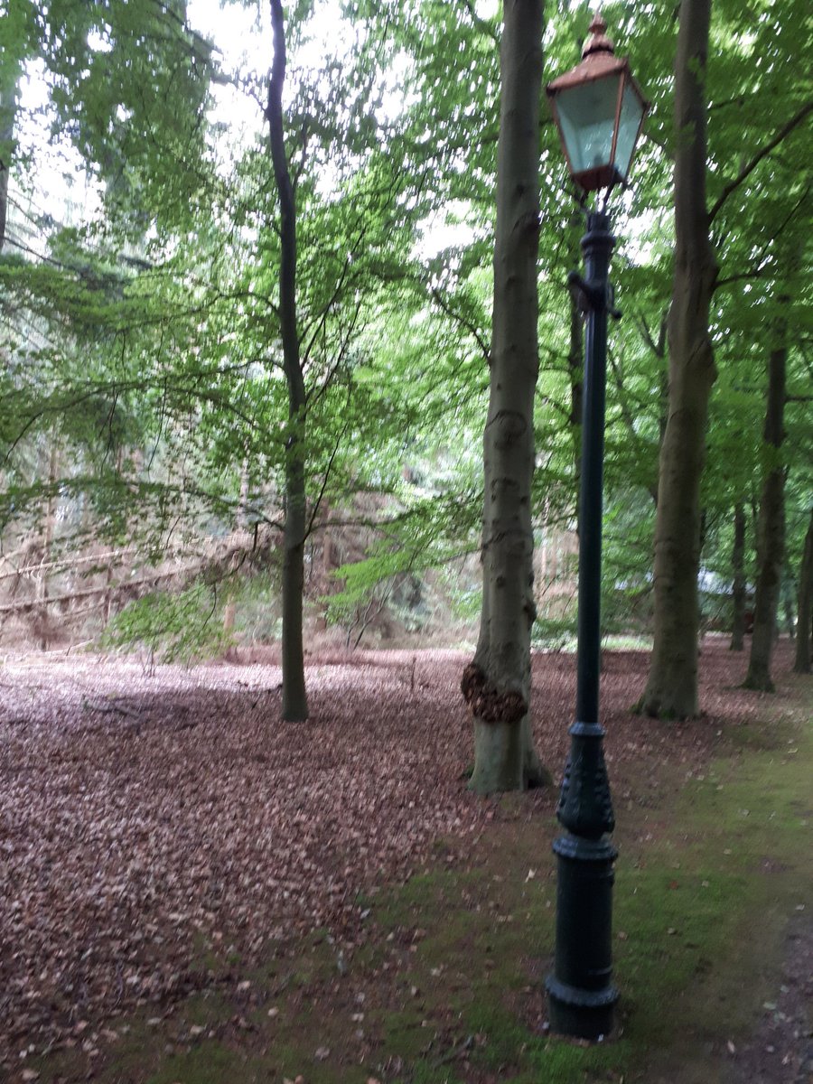 jildauz's tweet photo. De route was zo mooi met de heide in bloei en veel door de bossen 💜 #soesterwandelweekend https://t.co/nA43sLMhLW