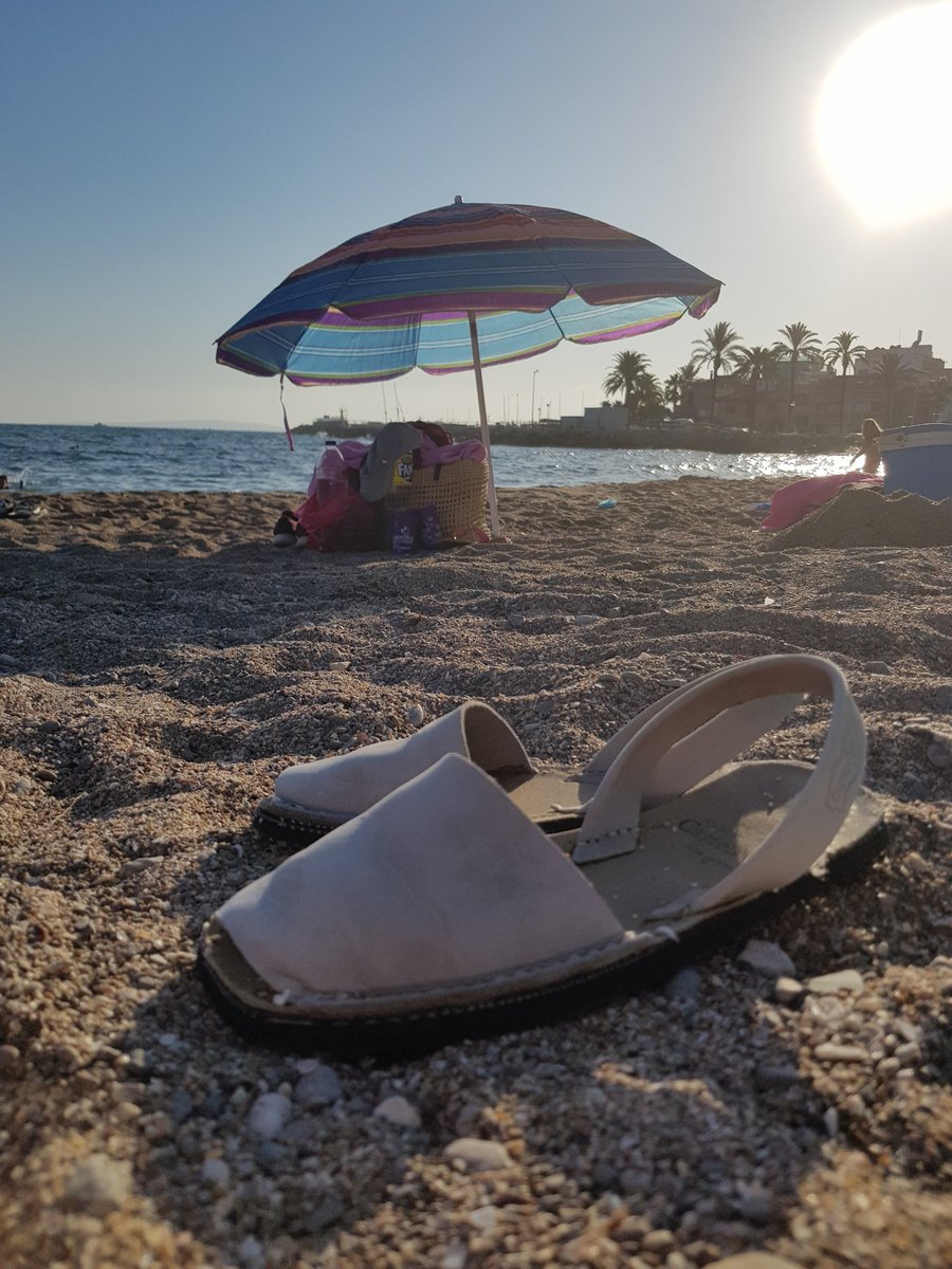 Virginia_Rexach's tweet photo. Un estiu sense avarques ja no es tan estiu... #avarques #Mallorca #Palma #estiu #platja #myphotography #photography https://t.co/GIhi99BDrP