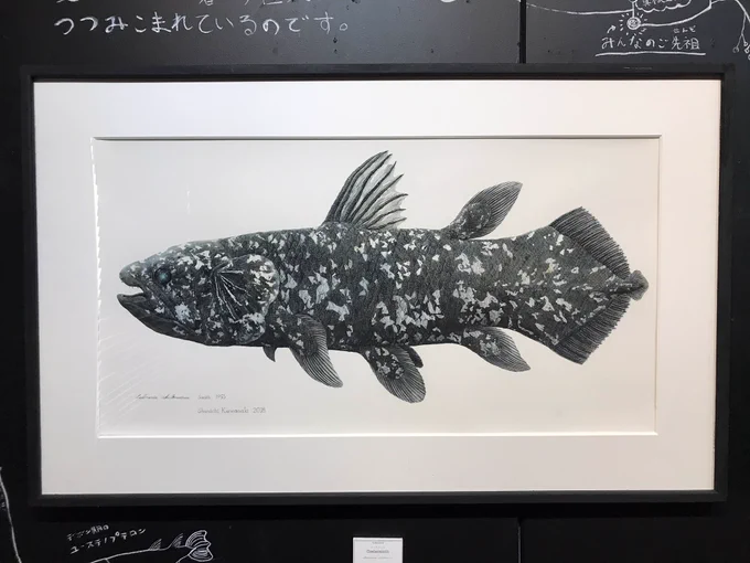 大阪のカフェギャラリーきのねさんで開催中のかわさきさん @nupotsu104 の展示行ってきました。ご本人も絵も相変わらずの熱量!オサガメ見つけた話聞けて楽しかった。
明日18日が最終日ですよー 