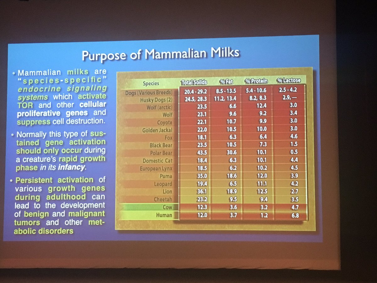 dbarman's tweet photo. Dr Milton Mills, @PCRM Assoc Dir Preventive Medicne
@TriangleVegfest #tvf2019 #trianglevegfest @DurhamNC @DurhamArts #vegan - carnivores have higher fat and more saturated in their milk - we grow much slower and need more carbs for brain dvlpmnt https://t.co/0UBoF2lmhH