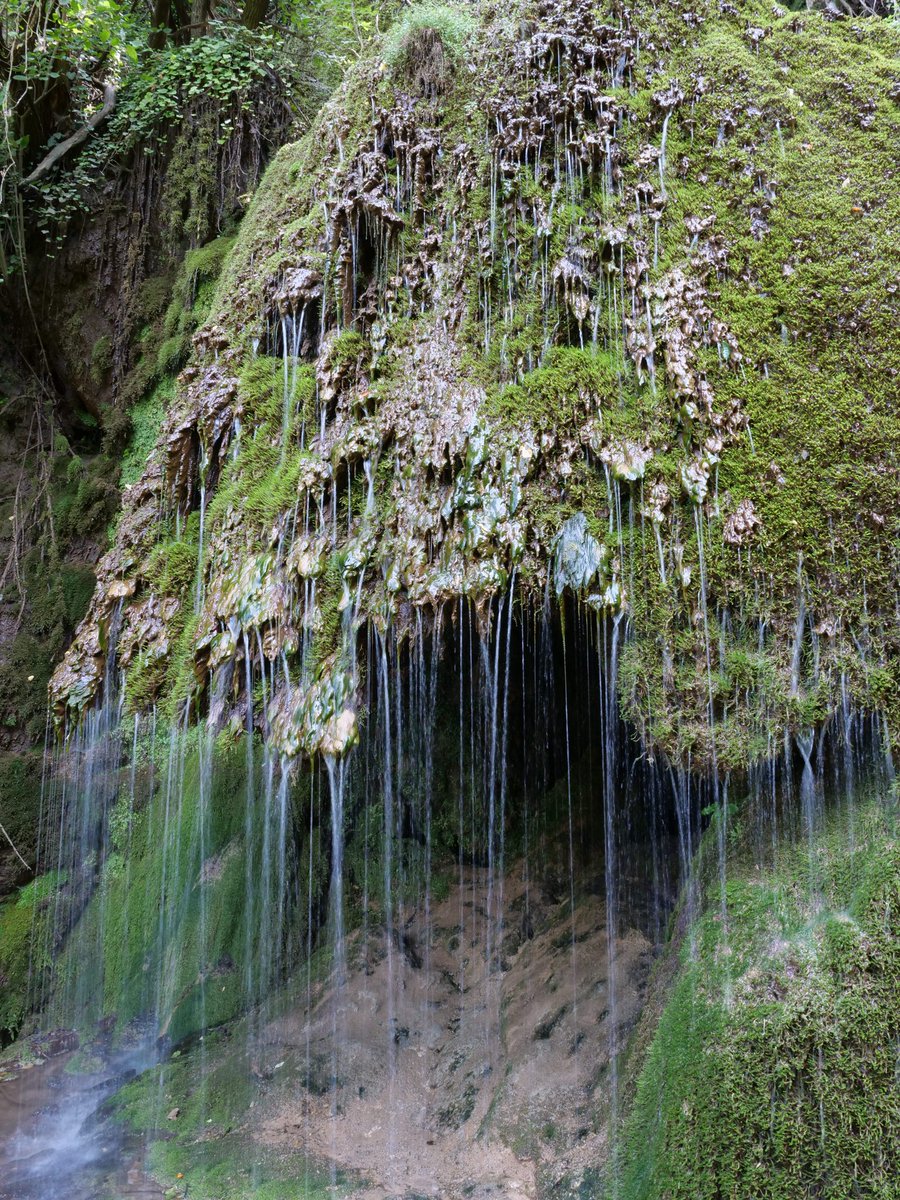 doctorhelgi's tweet photo. Todayβs postcard is from the #Krushuna falls in Northern #Bulgaria. The river comes out from a mile long subterranean cave-lake and cascades down the hill forming platforms of limestone pools, milky blue from the mineralised water. https://t.co/t2L9d6Tee6