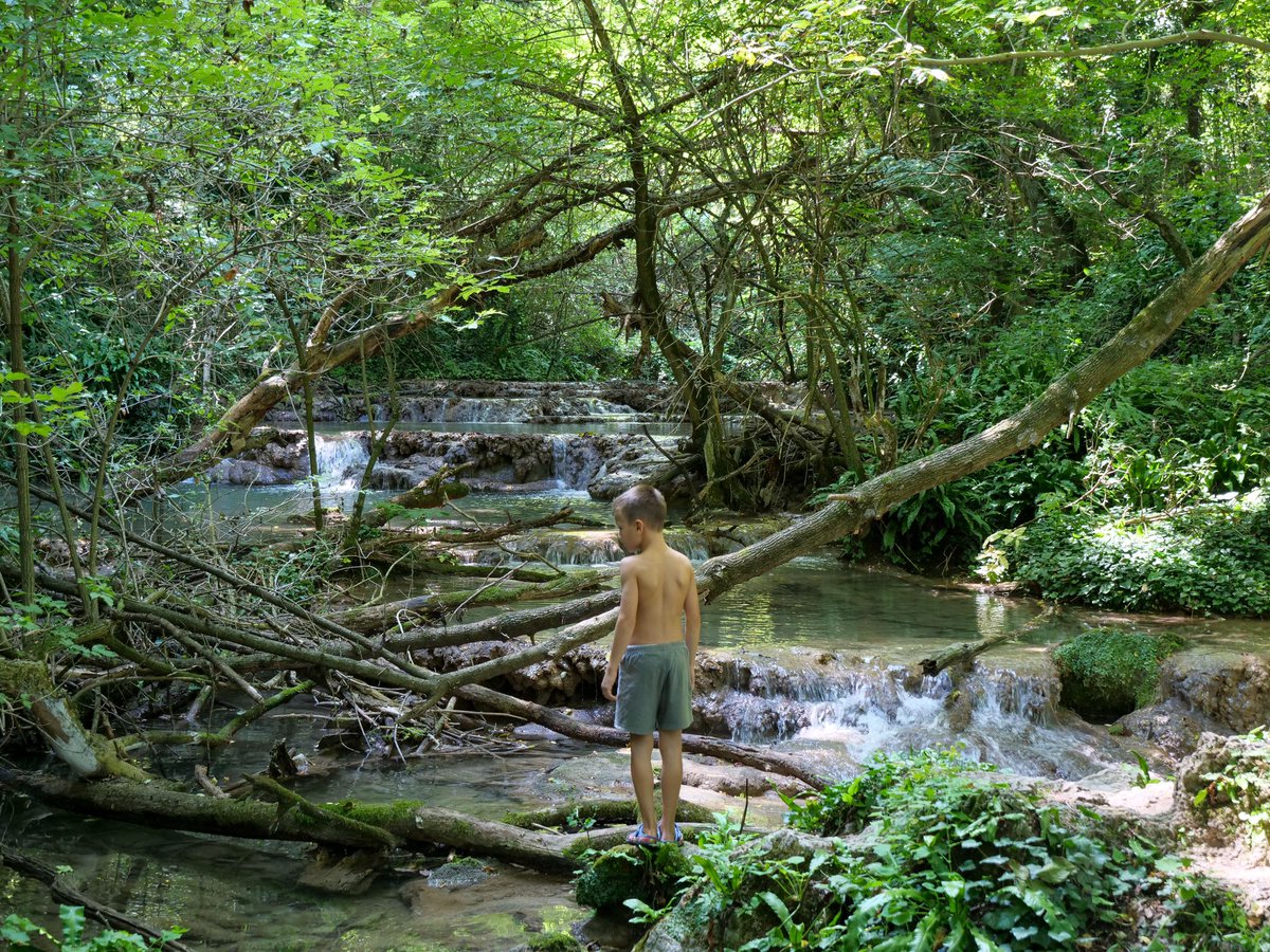 doctorhelgi's tweet photo. Todayβs postcard is from the #Krushuna falls in Northern #Bulgaria. The river comes out from a mile long subterranean cave-lake and cascades down the hill forming platforms of limestone pools, milky blue from the mineralised water. https://t.co/t2L9d6Tee6