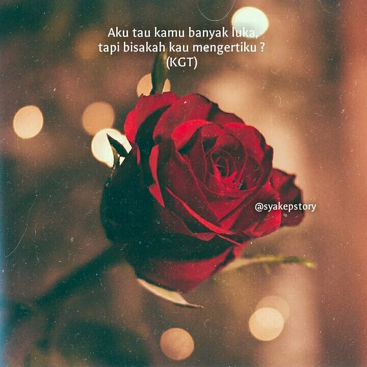 SyakepS's tweet photo. Selamat malam, :) 

#BiroJomblo https://t.co/NaHBzoCI1d