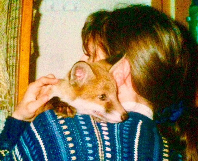 Labour4Animals's tweet photo. #Birdfair brought memories: Campaigning for League Against Cruel Sports w @LadyBasildon #McFall Bill. Setting up LACS EastMids support group 25y ago. Hunt Monitoring w Stamford Group. Interview at #RutlandWater by John Craven! Monitoring artificial earths & rescuing fox cubs 🦊 https://t.co/fTFn7Mxfcm