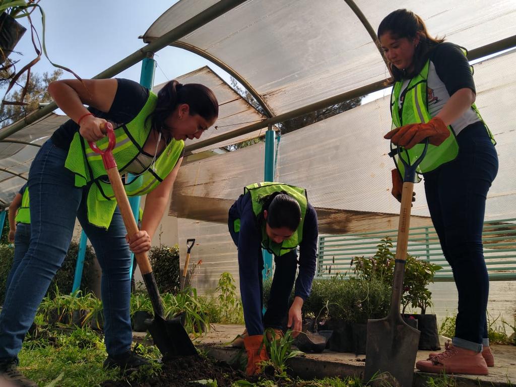 SeGobCDMX's tweet photo. #Hoy equipo SecGob participó en #RetoVerde sembrando nuevas especies de plantas en el Centro Cultural Juan Rulfo @TuAlcaldiaGAM @Claudiashein @fchiguil @rosaicela_ https://t.co/PmQo73I1lO