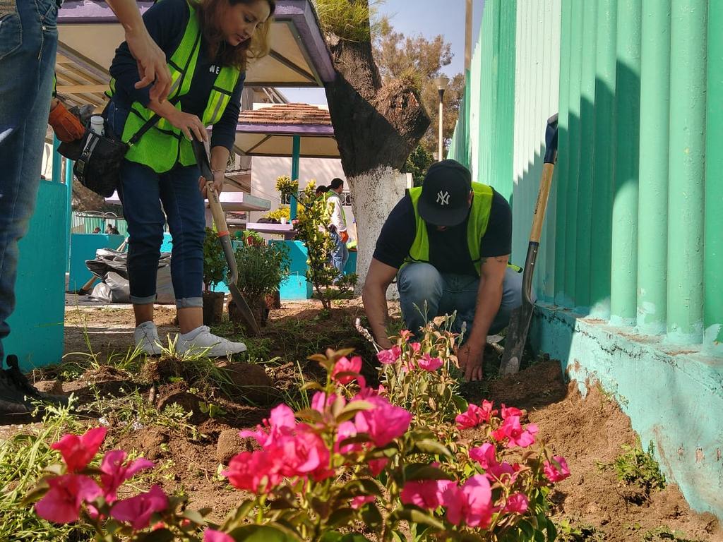 SeGobCDMX's tweet photo. #Hoy equipo SecGob participó en #RetoVerde sembrando nuevas especies de plantas en el Centro Cultural Juan Rulfo @TuAlcaldiaGAM @Claudiashein @fchiguil @rosaicela_ https://t.co/PmQo73I1lO